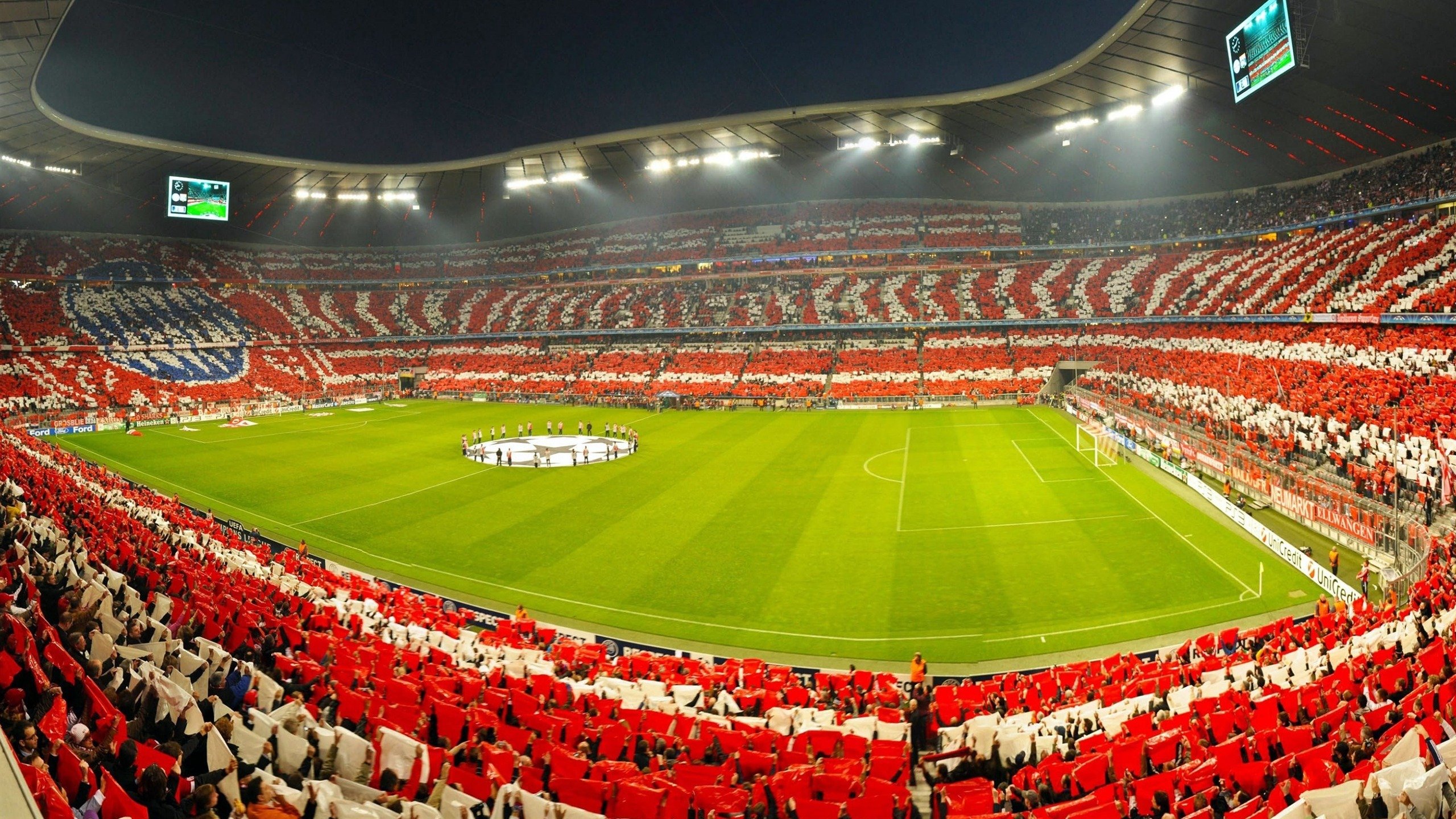 体育世界的励志传奇，体育界的传奇人物